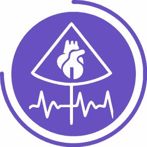 اکو M Mode ، اکو ام مود