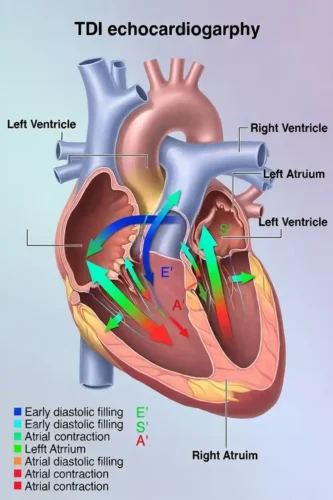 متغیرهای اصلی که در TDI اندازه گیری میشوند و در تشخیص مورد استفاده قرار میگیرند.