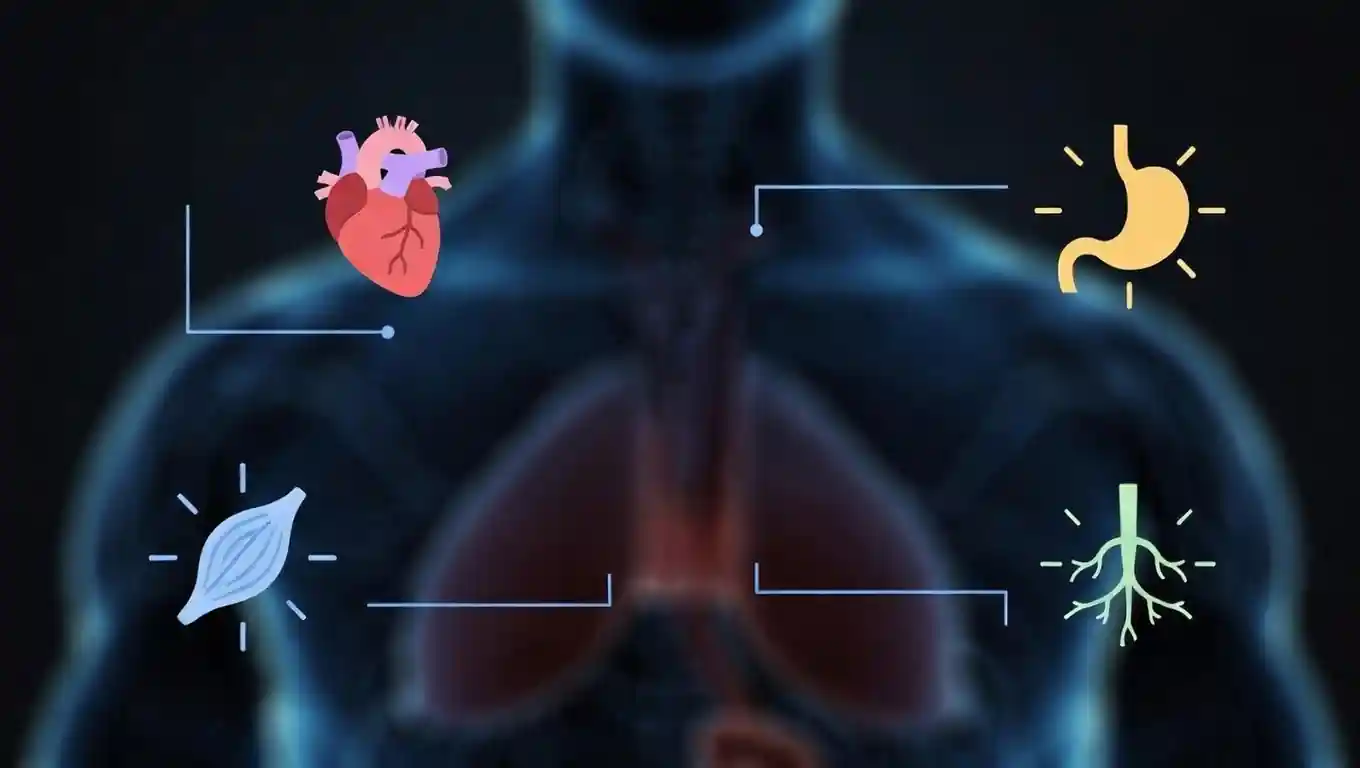 آیا درد قفسه سینه همیشه خطرناک است ؟