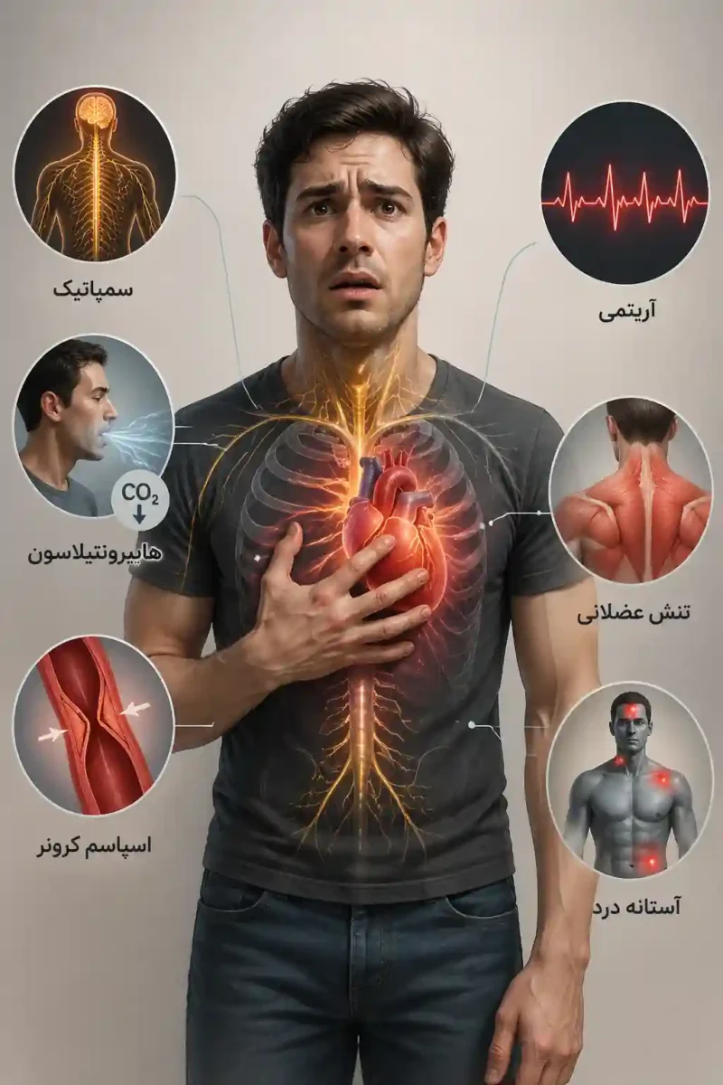 سامانه های درگیر در حمله پانیک که به درد قلبی می انجامند.