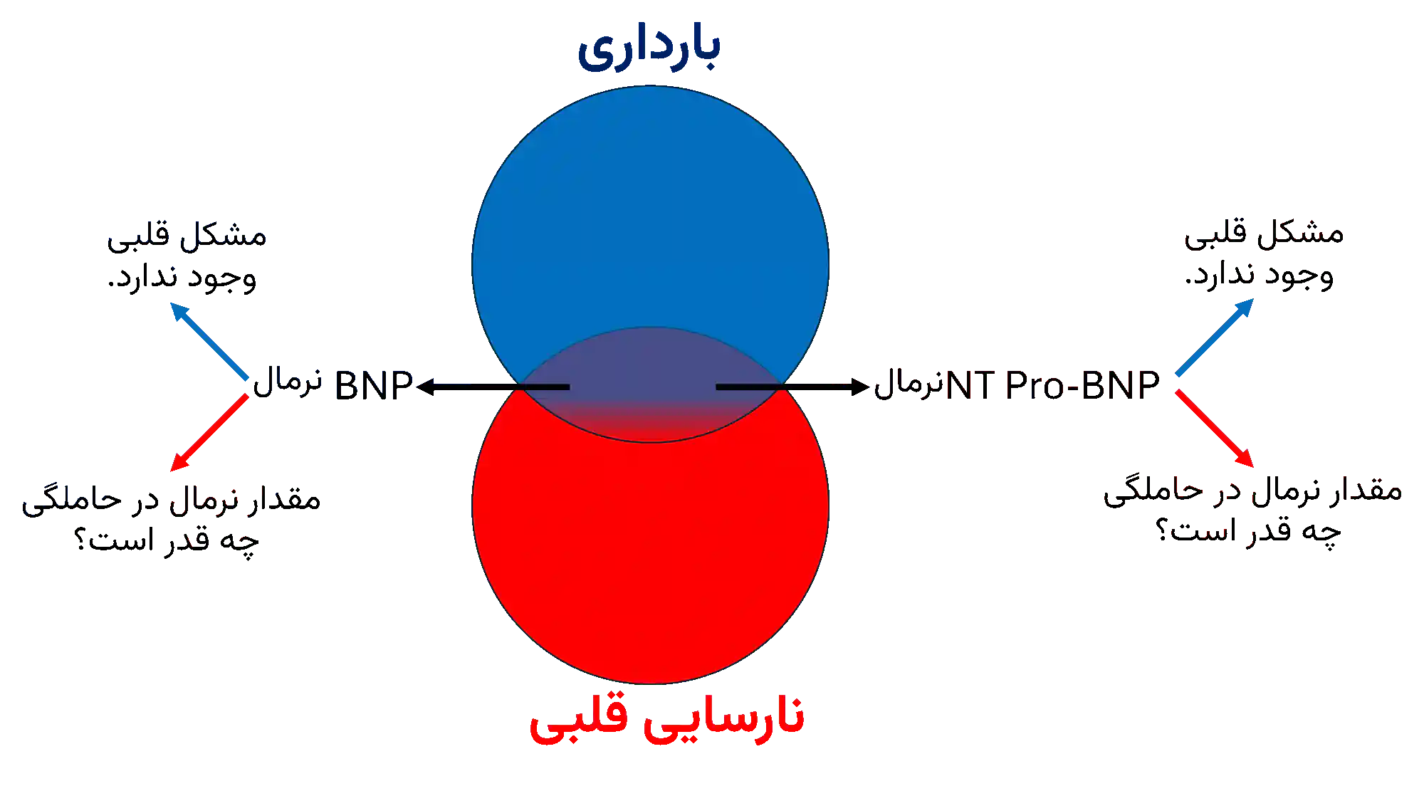ارزیابی شاخصهای متداول عوارض قلبی (BNP ، NT-ProBNP) در بارداری | نتایج یک فراتحلیل از دکتر محبوبه شیخ خلاصه صورت مسئله | دو عامل (نارسایی قلبی و بارداری) یک معلول دارند (افزایش BNP و NT Pro-BNP). در بانوان حامله چگونه تشخیص دهیم پای یک نارسایی قلبی میان است یا بدن باردار در حال انجام کار خود است.