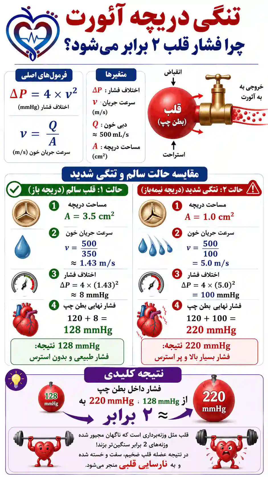 دریچههای قلب چه ارتباطی به نارسایی قلبی دارند؟ تنگی دریچه و نارسایی قلبی، مثال ریاضی از فشار وارد بر قلب
