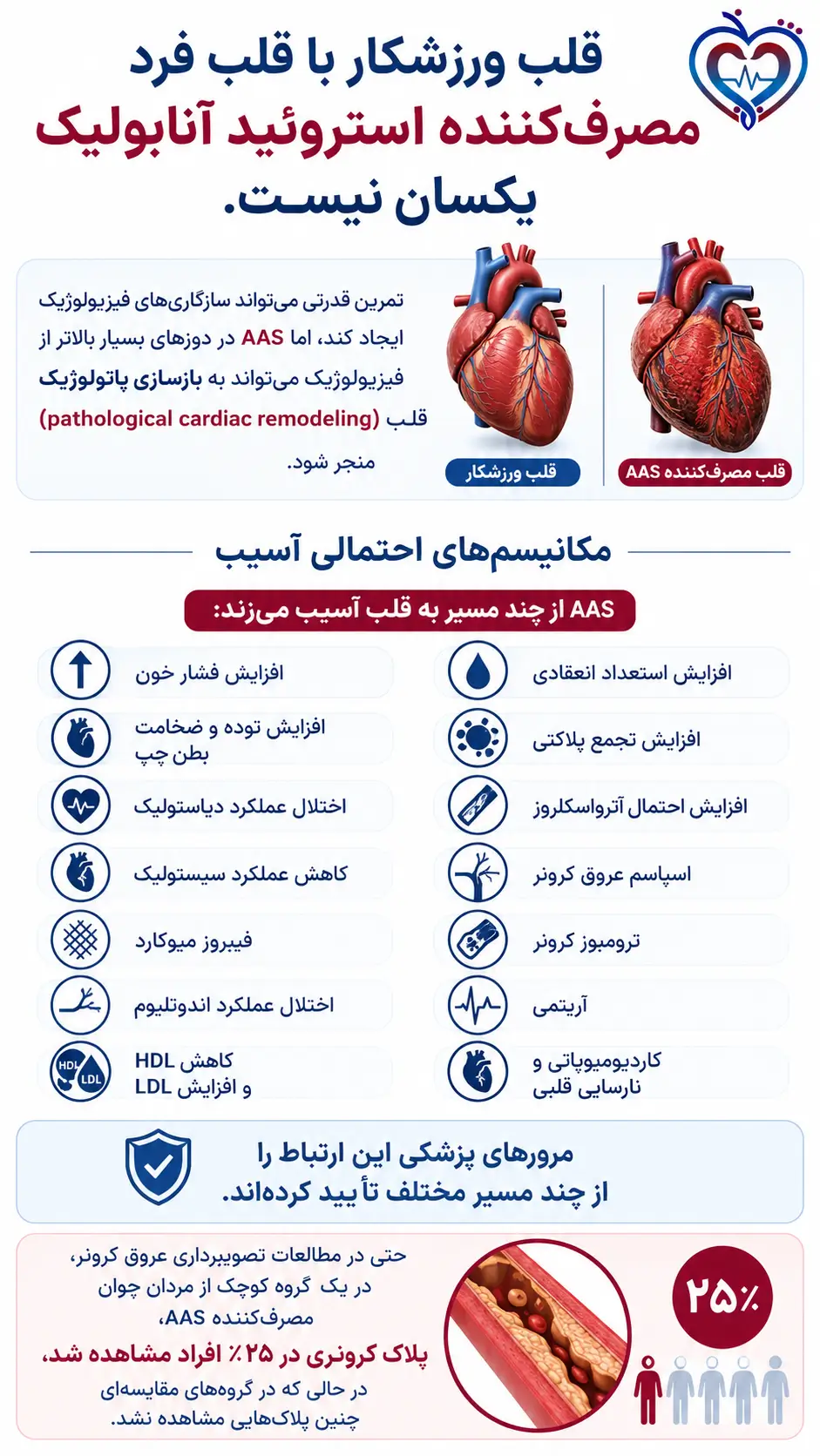 بدنسازی و قلب | بررسی علمی اثر داروها و مواد افزایشدهنده حجم عضلات بر قلب و عروق بدنسازی و قلب | مکانیسم های آسیب مواد عضله ساز استروئیدی به قلب و عروق